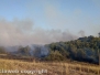 Vasto incendio a Montalto di Castro