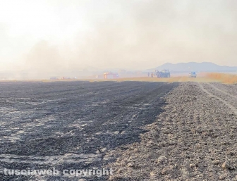 Vasto incendio a Montalto di Castro