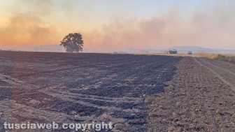 Vasto incendio a Montalto di Castro