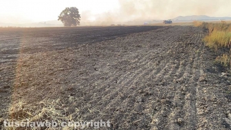 Vasto incendio a Montalto di Castro