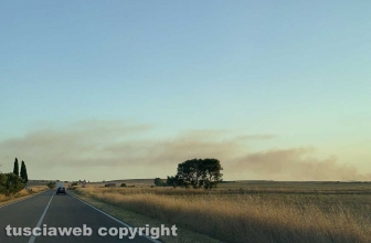 Vasto incendio a Montalto di Castro