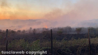 Vasto incendio a Montalto di Castro