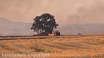 Vasto incendio a Montalto di Castro
