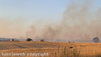Vasto incendio a Montalto di Castro