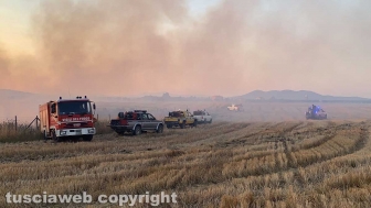 Vasto incendio a Montalto di Castro