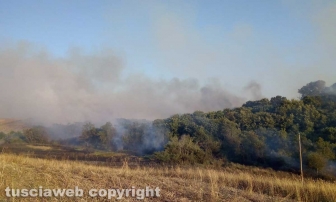 Incendio a Montalto di Castro
