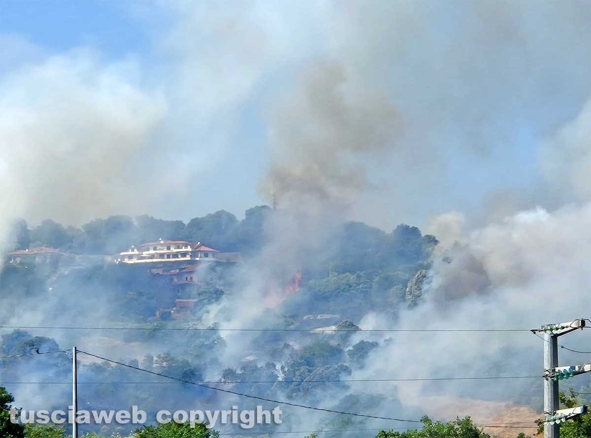 Montefiascone - Vasto incendio, fiamme tra bosco, vigne e uliveti: case lambite dal rogo