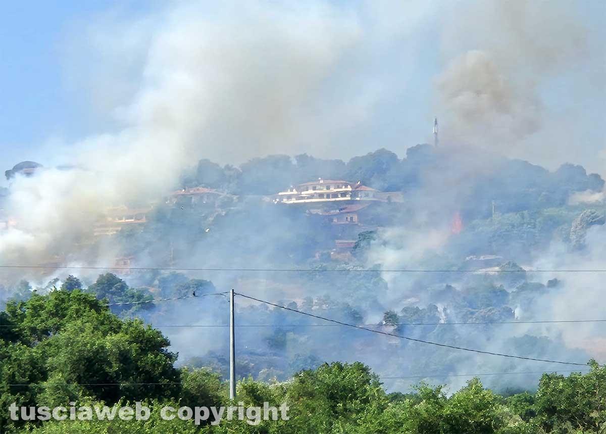 Montefiascone - Vasto incendio, fiamme tra bosco, vigne e uliveti: case lambite dal rogo