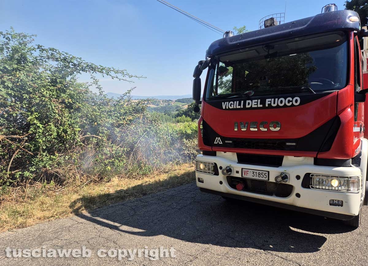 Montefiascone - Vasto incendio, fiamme tra bosco, vigne e uliveti: case lambite dal rogo