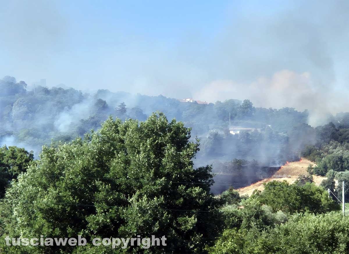 Montefiascone - Vasto incendio, fiamme tra bosco, vigne e uliveti: case lambite dal rogo