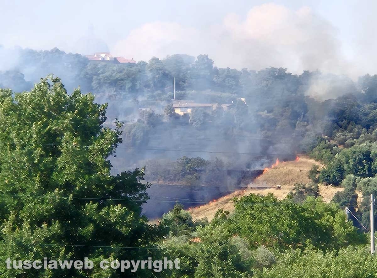 Montefiascone - Vasto incendio, fiamme tra bosco, vigne e uliveti: case lambite dal rogo