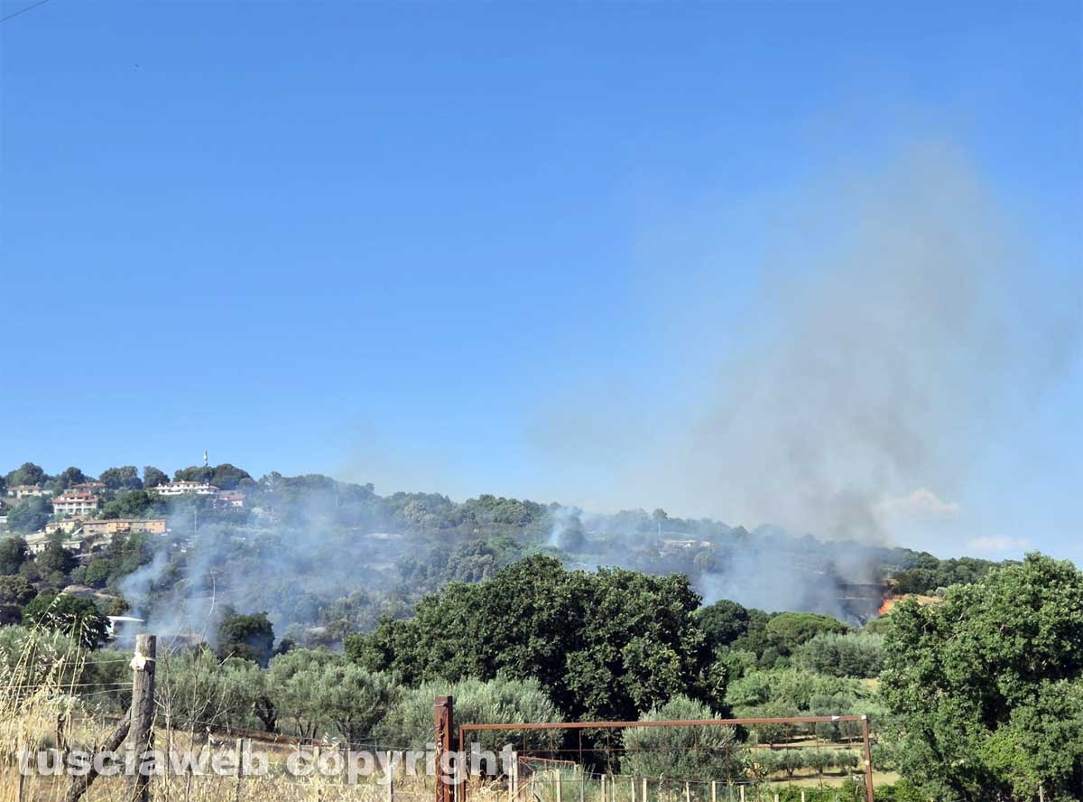 Montefiascone - Vasto incendio, fiamme tra bosco, vigne e uliveti: case lambite dal rogo