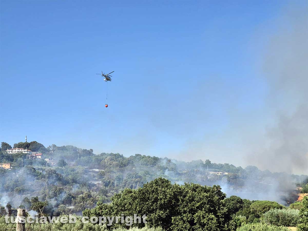 Montefiascone - Vasto incendio, fiamme tra bosco, vigne e uliveti: case lambite dal rogo