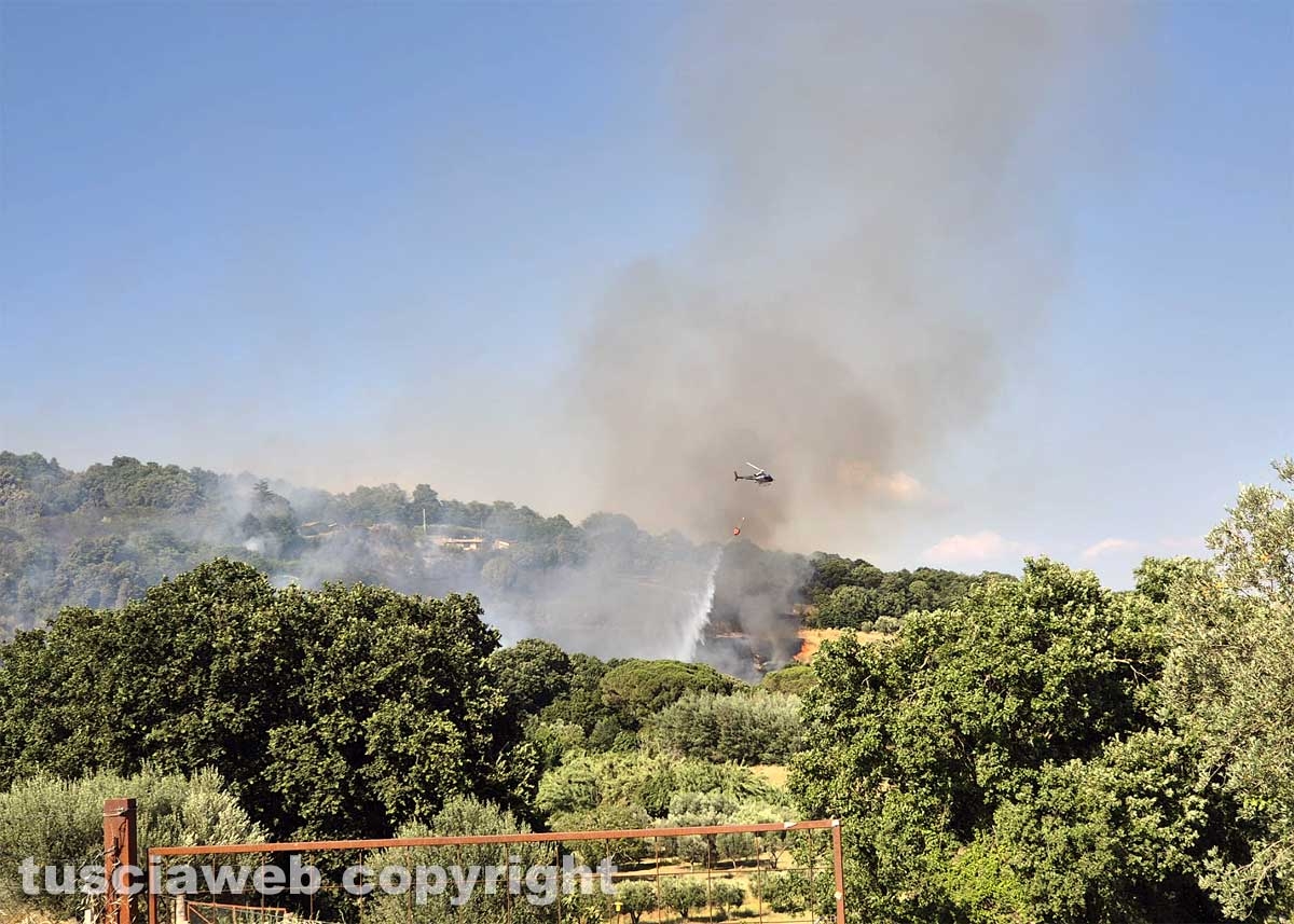 Montefiascone - Vasto incendio, fiamme tra bosco, vigne e uliveti: case lambite dal rogo