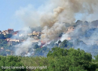 Montefiascone - Vasto incendio, fiamme tra bosco, vigne e uliveti: case lambite dal rogo