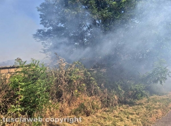 Montefiascone - Vasto incendio, fiamme tra bosco, vigne e uliveti: case lambite dal rogo