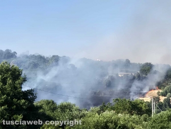 Montefiascone - Vasto incendio, fiamme tra bosco, vigne e uliveti: case lambite dal rogo