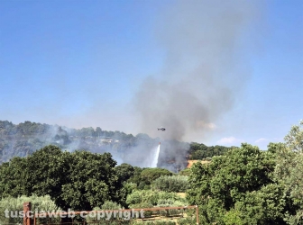 Montefiascone - Vasto incendio, fiamme tra bosco, vigne e uliveti: case lambite dal rogo
