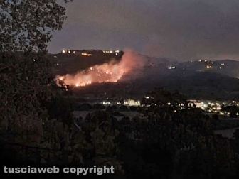 Vasto incendio tra Orte e Penna in Teverina