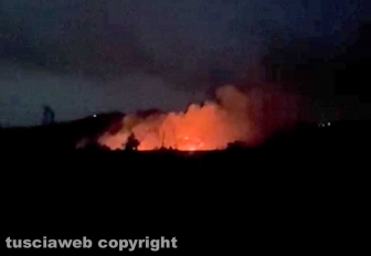 Vasto incendio tra Orte e Penna in Teverina