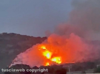 Vasto incendio tra Orte e Penna in Teverina