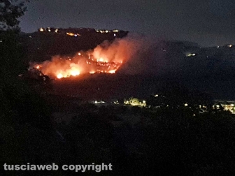 Vasto incendio tra Orte e Penna in Teverina