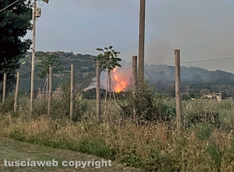 Vasto incendio tra Orte e Penna in Teverina