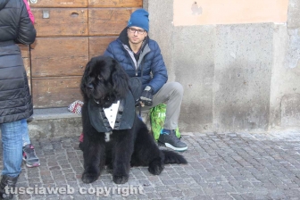 Ventunesimo raduno nazionale dei cani Terranova