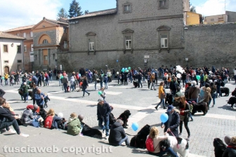 Ventunesimo raduno nazionale dei cani Terranova