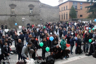 Ventunesimo raduno nazionale dei cani Terranova