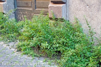Via Calabresi