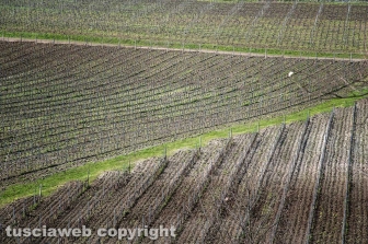 I vigneti di Montefiascone