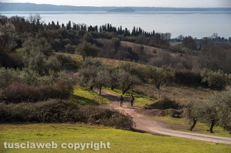 Via Francigena