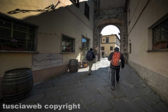 Bolsena