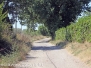 Via Francigena