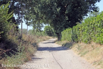 Via Francigena