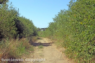 Via Francigena