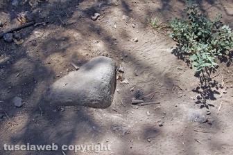 Via Francigena
