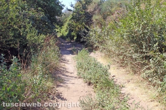 Via Francigena