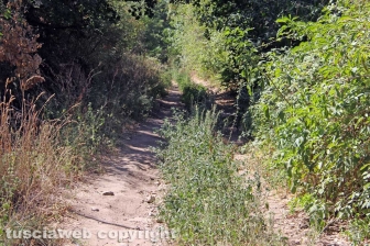 Via Francigena