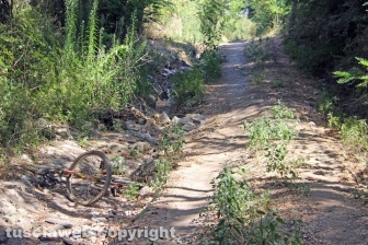 Via Francigena