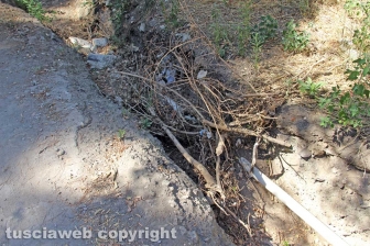 Via Francigena