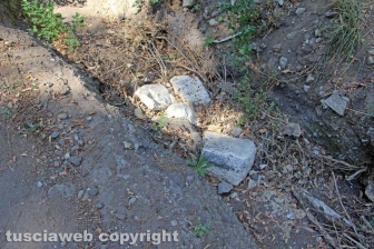 Via Francigena