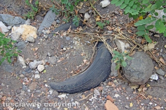 Via Francigena