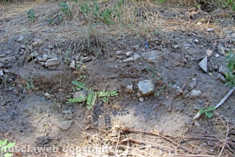 Via Francigena