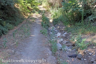 Via Francigena