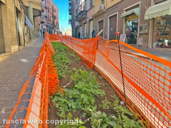 Via Matteotti