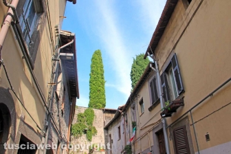 Via Santa Maria delle Rose