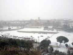 La nevicata vista da Giuseppe Ferlicca