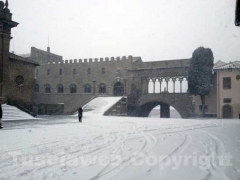 La nevicata vista da Giuseppe Ferlicca
